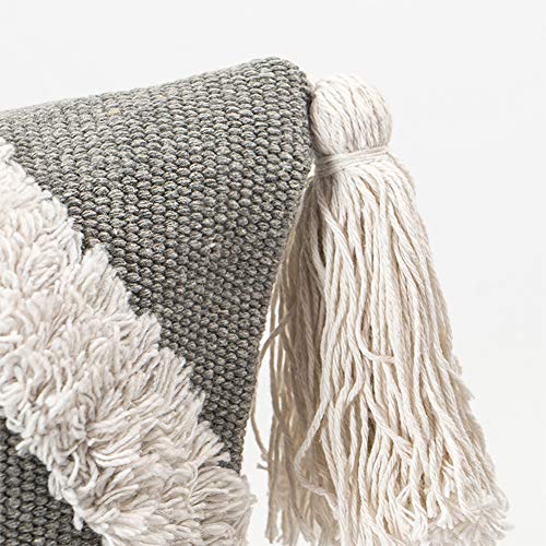 blue page Boho Neutral Decorative Pillow Cover with Tassel